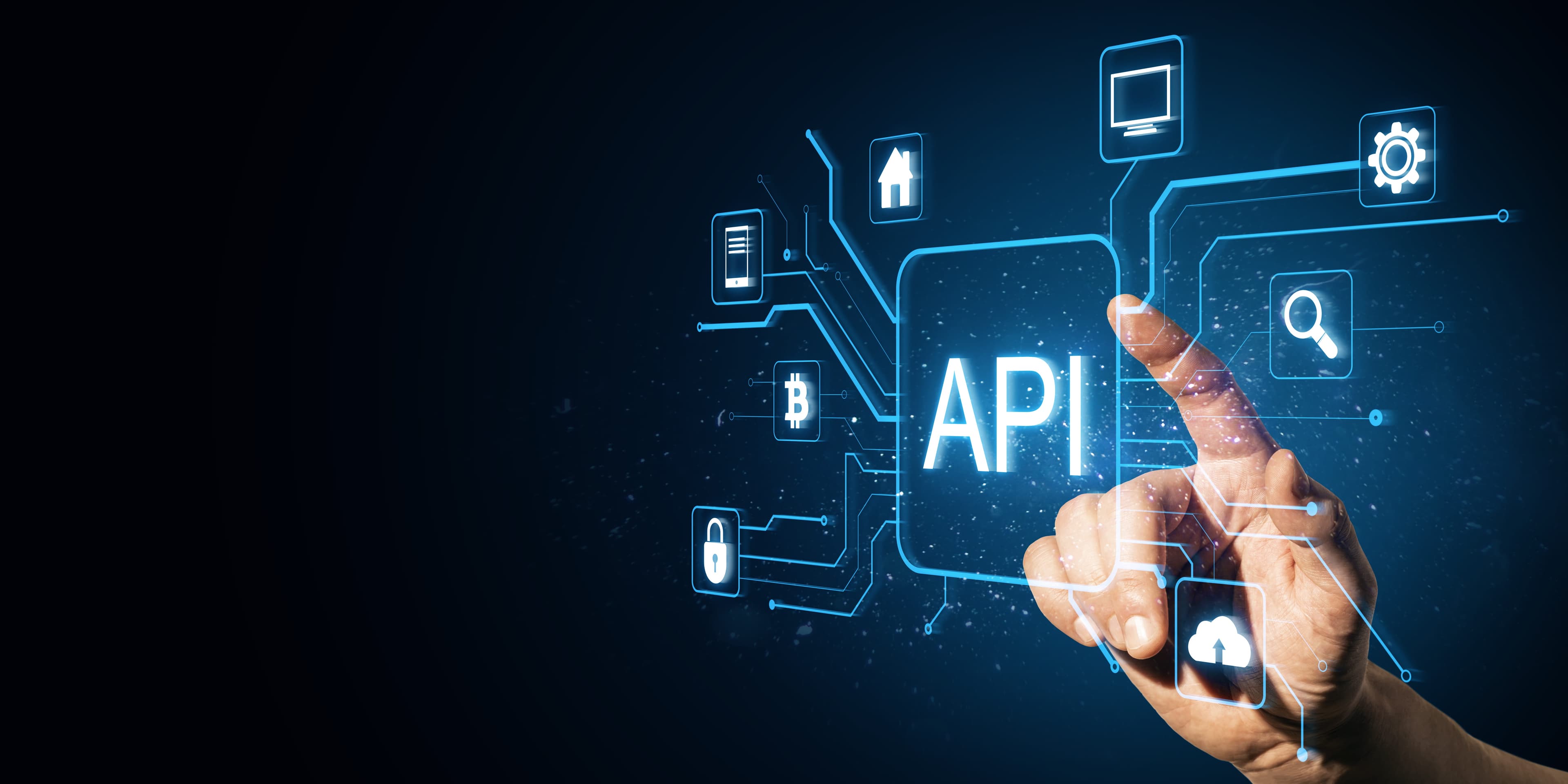 API Product Development and Integration